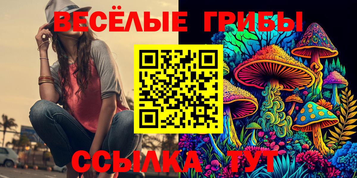Галлюциногенные грибы GOLDEN TEACHER Зеленодольск